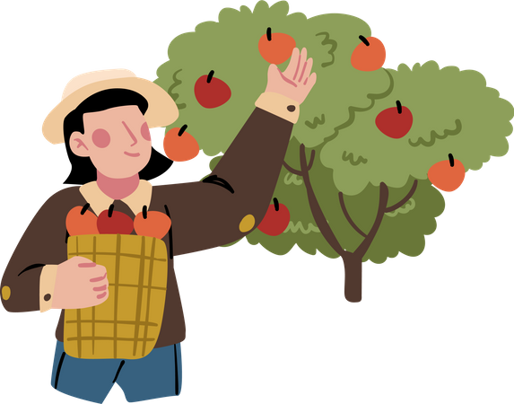 Agricultor masculino coletando maçãs  Ilustração