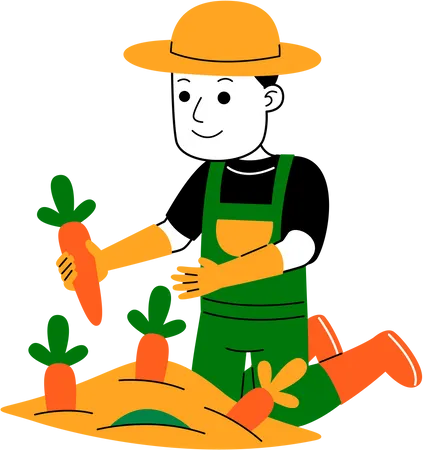 Agricultor masculino colhendo cenoura  Ilustração