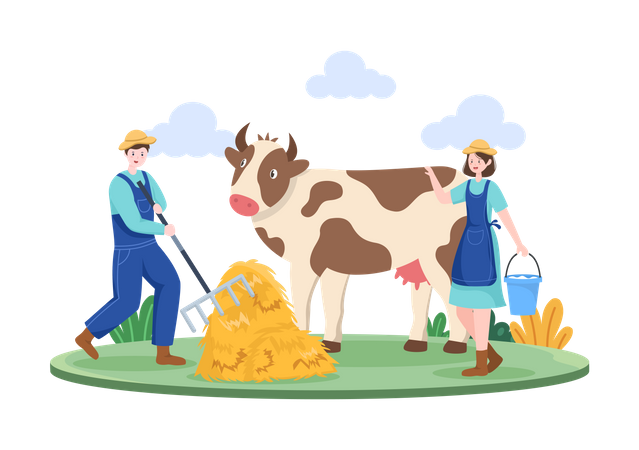 Agricultor masculino dando grama para vaca e mulher andando com balde de leite  Ilustração