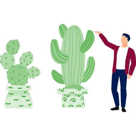 Homem apresentando planta cereus  Ilustração