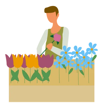 Homem arranjando flores  Ilustração