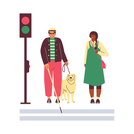 Homem cego com cão-guia e bengala atravessando a rua na faixa de pedestres  Ilustração