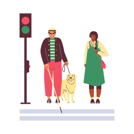Homem cego com cão-guia e bengala atravessando a rua na faixa de pedestres  Ilustração