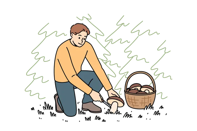 Homem coletando cogumelos em uma cesta  Ilustração