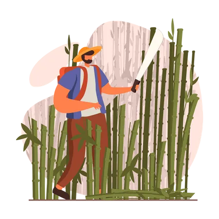 Homem cortando bambus com espada  Ilustração