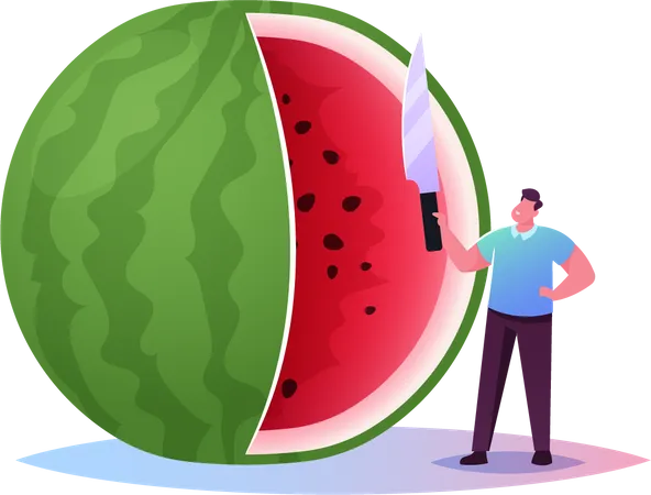 Homens cortando melancia  Ilustração