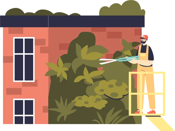 Homem cuidando de plantas na casa verde  Ilustração