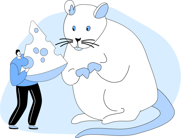 Homem dando um pedaço de queijo para um enorme rato branco  Ilustração