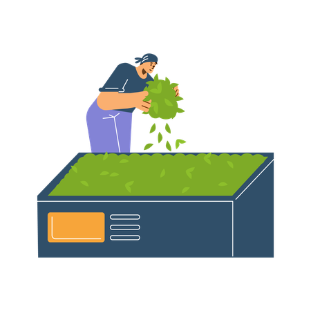 Homem em pé sobre um grande recipiente com plantas verdes  Illustration