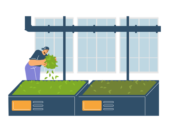 Homem em pé sobre um grande recipiente com plantas verdes  Illustration