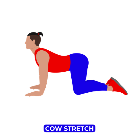 Homem fazendo alongamento de vaca. Bitilasana  Ilustração