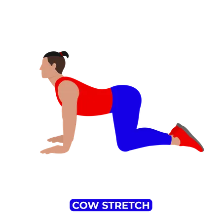 Homem fazendo alongamento de vaca. Bitilasana  Ilustração