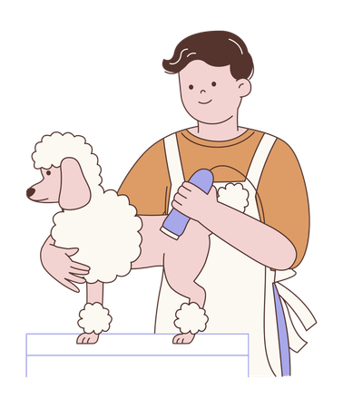 Homem fazendo tosa de poodle  Ilustração