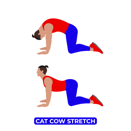 Homem fazendo alongamento de vaca de gato  Ilustração