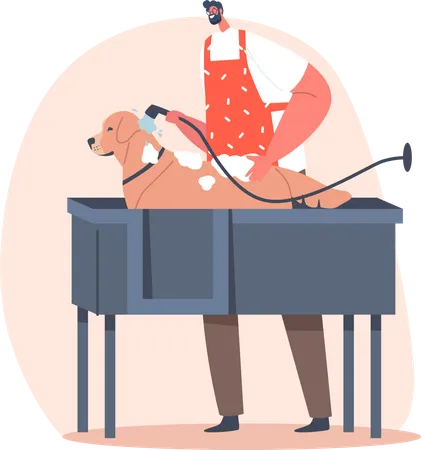 Cabeleireiro Personagem Masculino Oferece Servico De Higiene Lavando Big Dog Stand Na Banheira No Salao Cuidados Com Cabelos De Animais Domesticos Homem Lathering Retriever Saude E Beleza De Animais Ilustra O Vetorial De Desenho Animado Ilustração