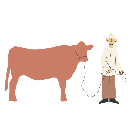 Homem muçulmano com vaca  Ilustração