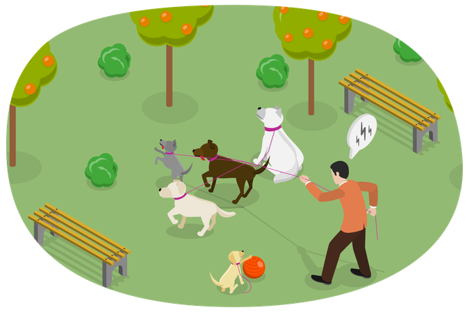 Homem passeando com cachorros  Ilustração