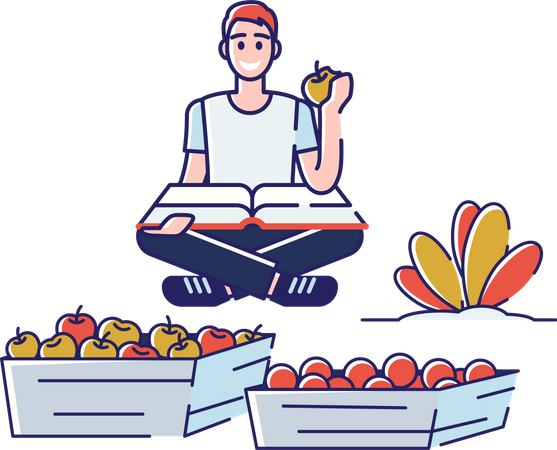 Homem classificando frutas de acordo com categorias  Ilustração