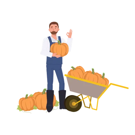 Agriculteur tenant une citrouille  Illustration