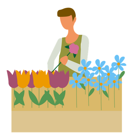 Homme arrangeant des fleurs  Illustration