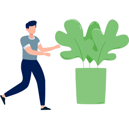 Homme courant vers un cactus  Illustration