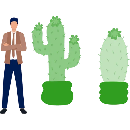 Homme debout près d'un arbre Melocactus  Illustration