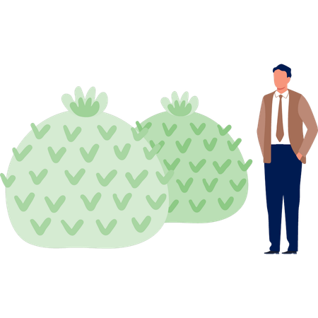 Homme debout près d'un cactus artichaut  Illustration