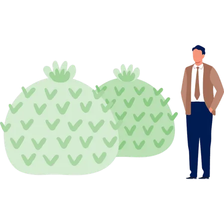 Homme debout près d'un cactus artichaut  Illustration