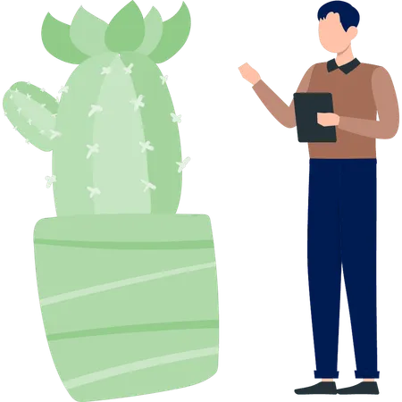 Homme discutant du cactus Mammillaria  Illustration