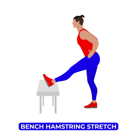 Homme faisant un étirement des ischio-jambiers sur banc  Illustration