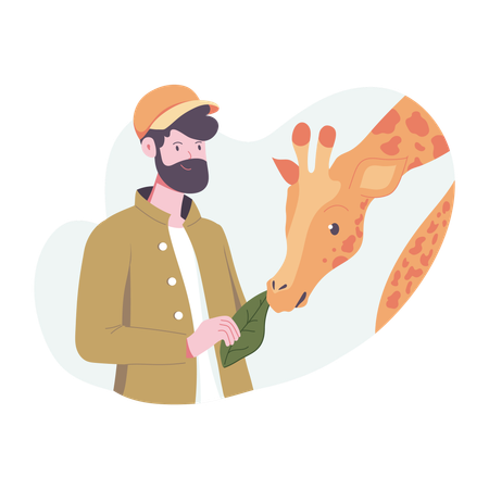 Un homme donne de l'herbe à une girafe  Illustration