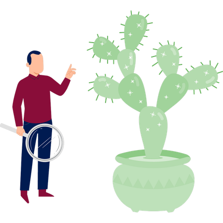 Homme faisant des recherches sur une plante de cactus  Illustration