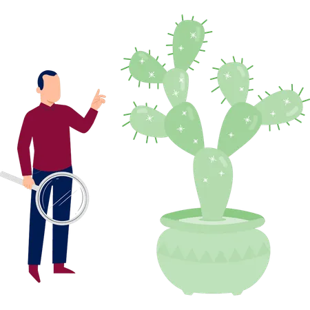 Homme faisant des recherches sur une plante de cactus  Illustration