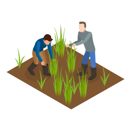 Homme faisant une agriculture durable  Illustration