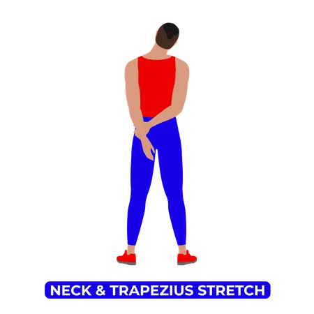 Homme faisant des étirements du cou et des trapèzes  Illustration