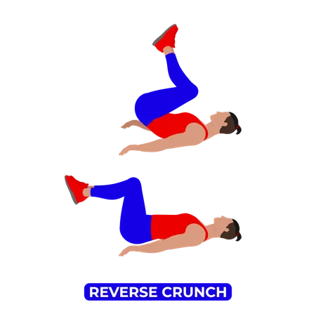 Homme faisant un exercice de crunch inversé  Illustration