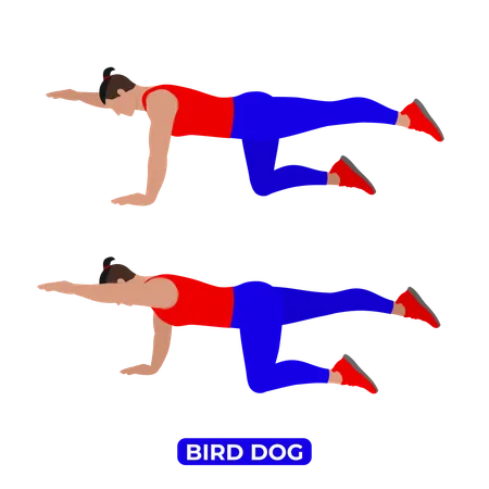 Homme faisant de l'exercice pour chien oiseau  Illustration