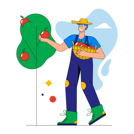 Heureux agriculteur cueillant des pommes dans le panier  Illustration
