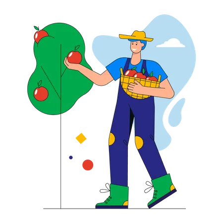 Heureux agriculteur cueillant des pommes dans le panier  Illustration