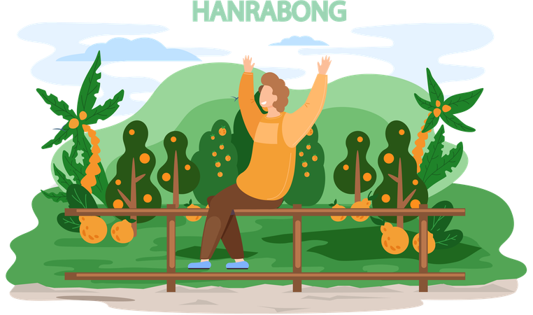 Heureux voyageur masculin sur l'île de Jeju près du jardin de mandarines et d'orangers Hanrabong  Illustration