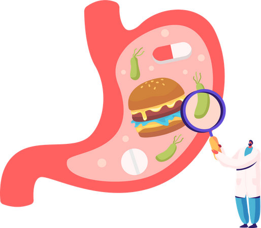 Médecin de sexe masculin avec loupe apprenant l'estomac malade avec la maladie d'Helicobacter  Illustration