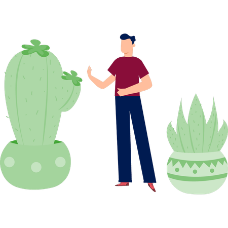 Homme parlant de cactus à fleurs  Illustration