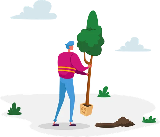 Homme plantant un arbre au sol dans le jardin  Illustration