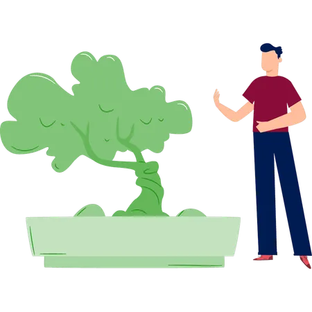 Homme pointant un arbre vert dans le jardin  Illustration