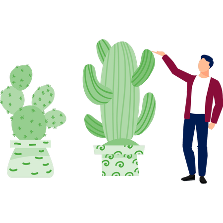 Homme présentant une plante cereus  Illustration