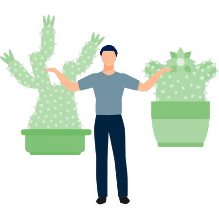 Homme présentant des cactus  Illustration