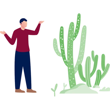 Homme présentant un cactus vert  Illustration