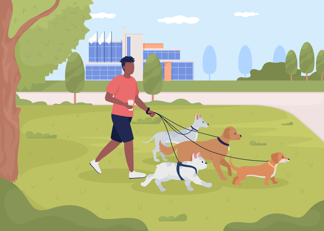 Homme promenant des chiens dans le parc  Illustration