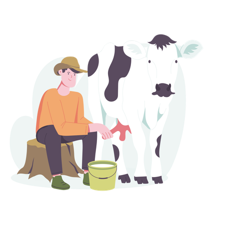 Homme, traite, vache  Illustration