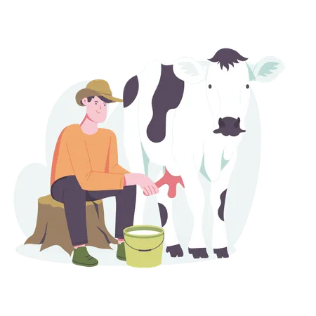 Homme, traite, vache  Illustration